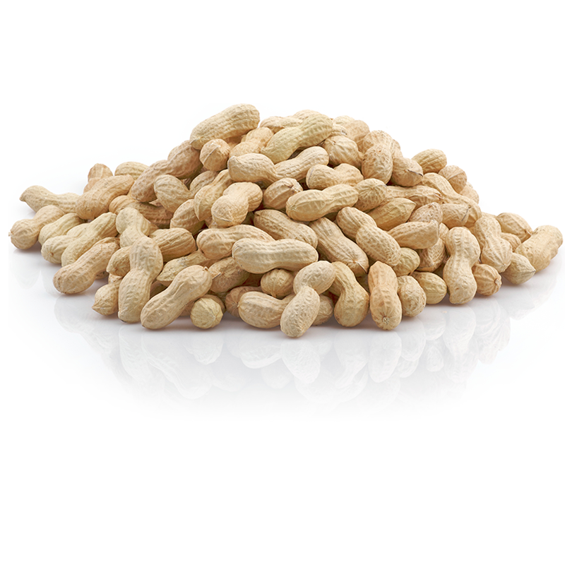 peanuts in shell best quality